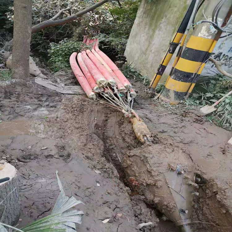 临夏武汉焊接涂装线拖拉管